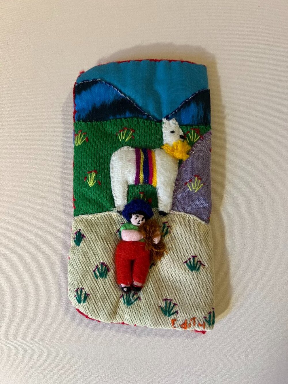 Eye glass case